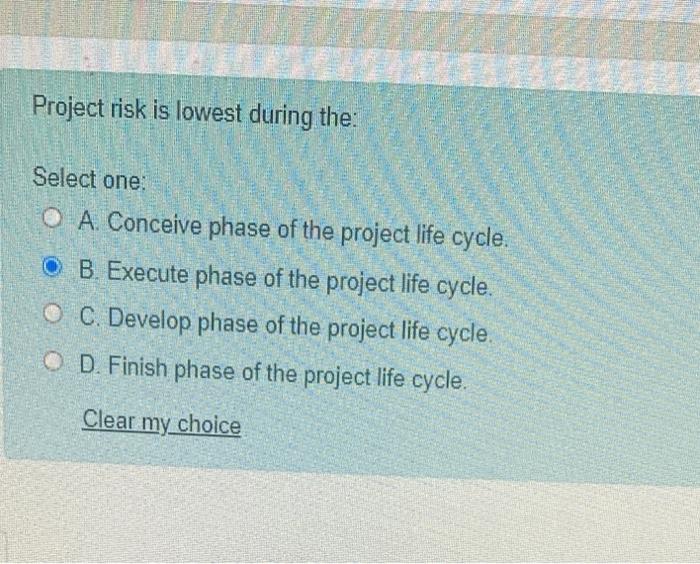 Project risk is highest during the Select one: O