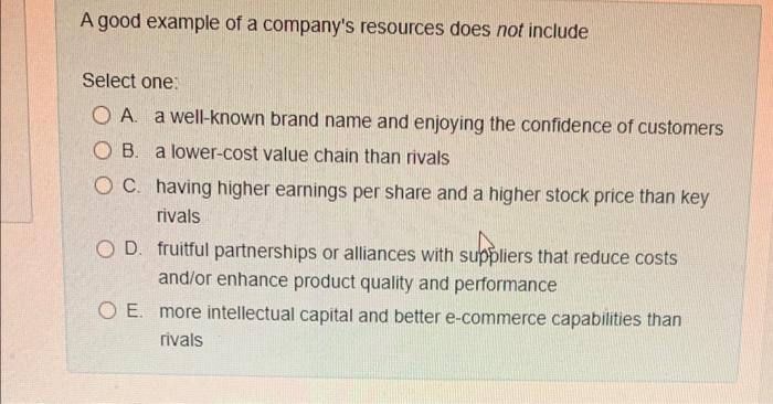 A good example of a company's resources does not