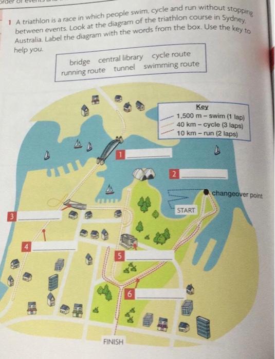 Write a process paragraph about the following