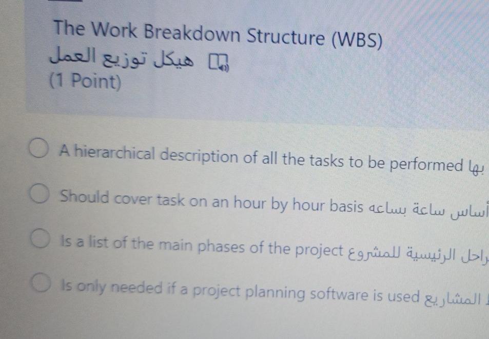 The Work Breakdown Structure (WBS) (1 Point) O A