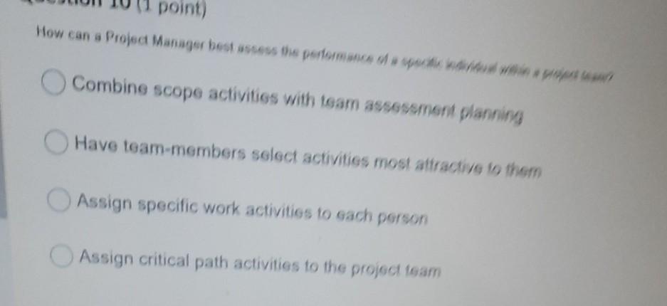 point) How can a Project Manager best assess the