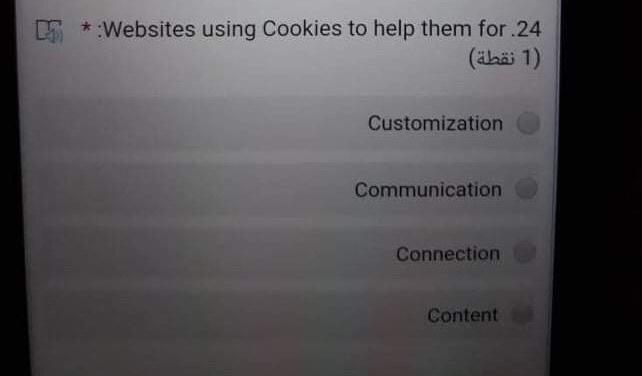 * Websites using cookies to help them for 24 (1