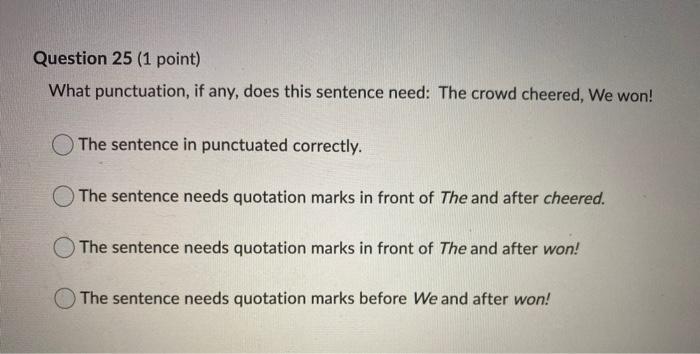 Question 23 (1 point) What punctuation, if any,
