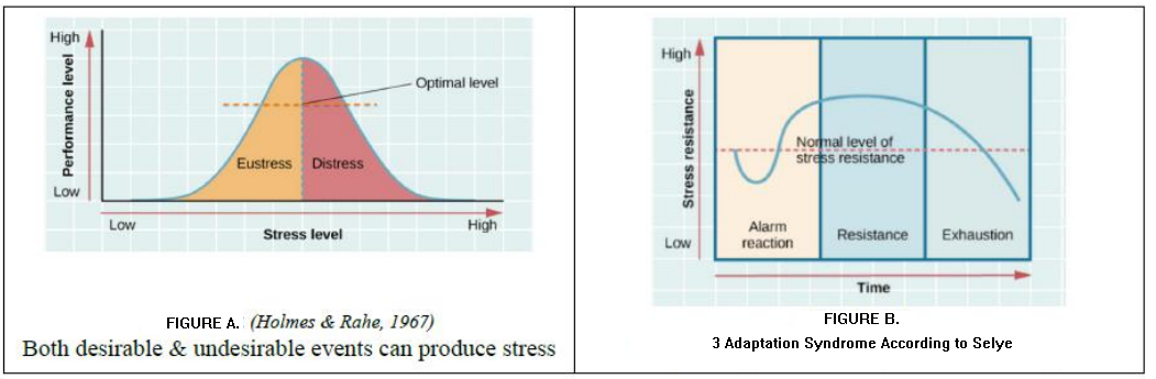 Describe the graphs in Figure a and Figure b,