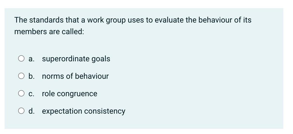 The standards that a work group uses to evaluate