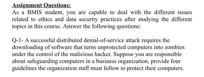 Assignment Questions: As a BMIS student, you are