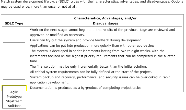 Match system development life cycle (SDLC) types