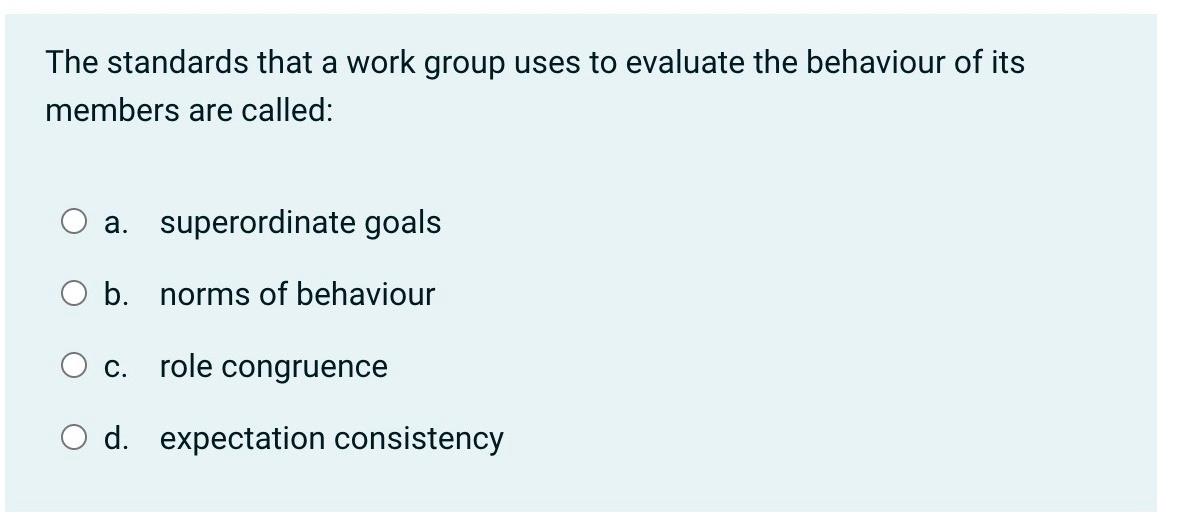 The standards that a work group uses to evaluate