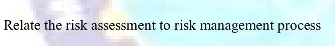 Relate the risk assessment to risk management