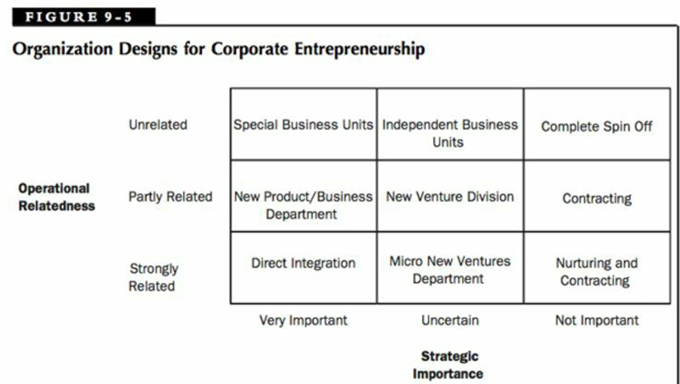 How does Signodes structure compare to the