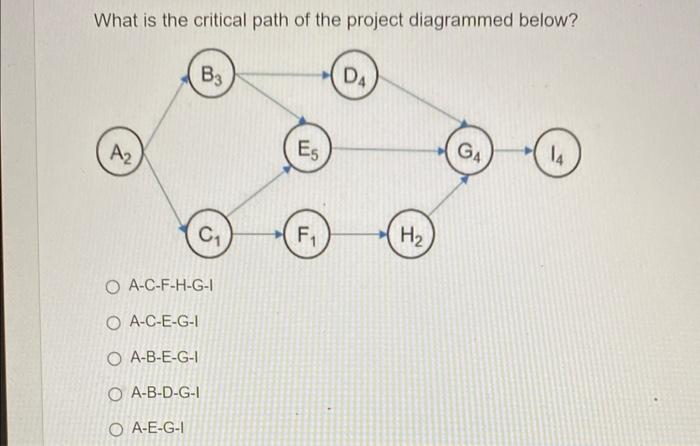 What is the critical path of the project