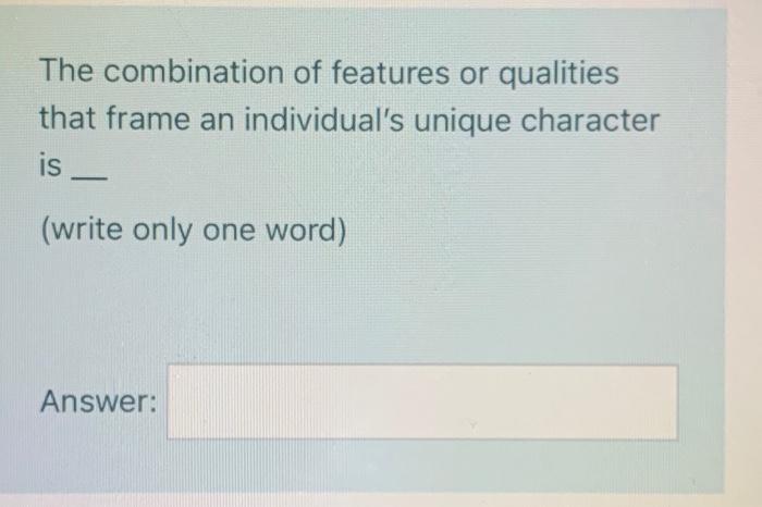 28) The combination of features or qualities that