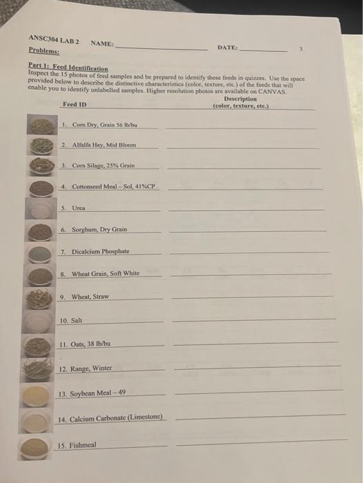 ANSC304 LAB 2 Problems NAME: DATE: Part 1 Fred