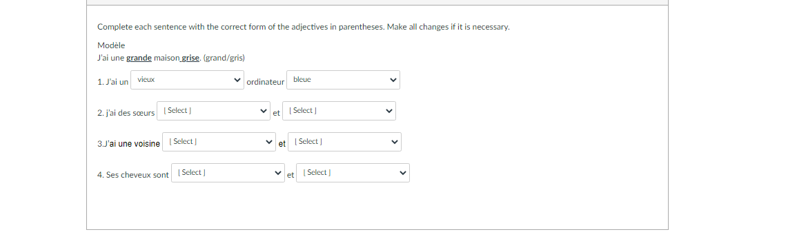 1. viel bleu vieux bleue vieille bleux Vielles