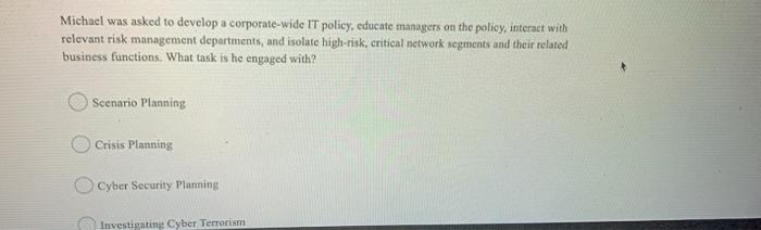 Michael was asked to develop a corporate-wide IT