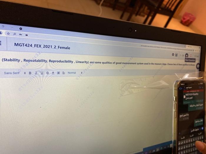 E MGT424 FEX 2021 2 Female (Stability.