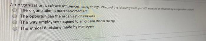 An organizations culture influences many things.