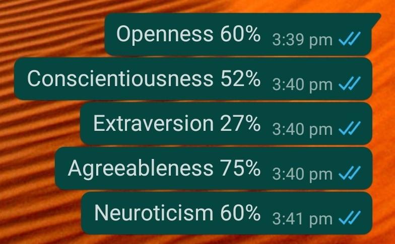 This is my 5 big personality traits test results.
