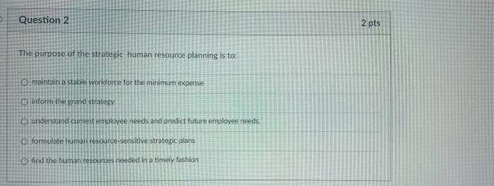 The purpose of the strategic human resource