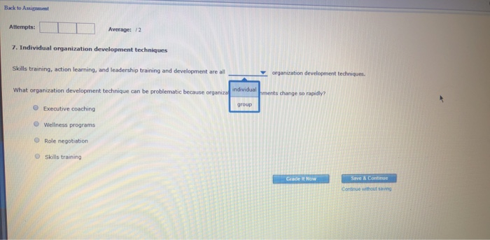 e bevelopment techniques Answer OD Intervention