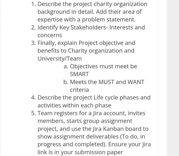1. Describe the project charity organization
