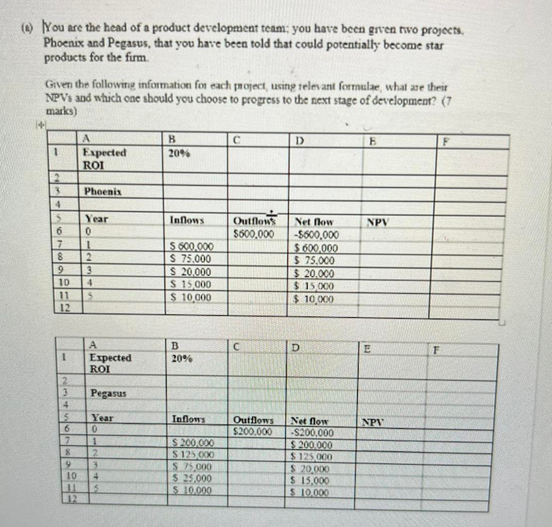 You are the head of a project development team;