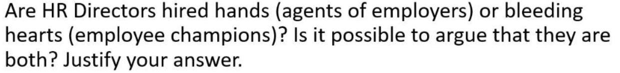 Are HR Directors hired hands (agents of