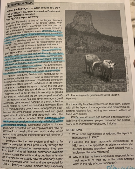 Go to the Business Dilemma KBJ Beef Processing