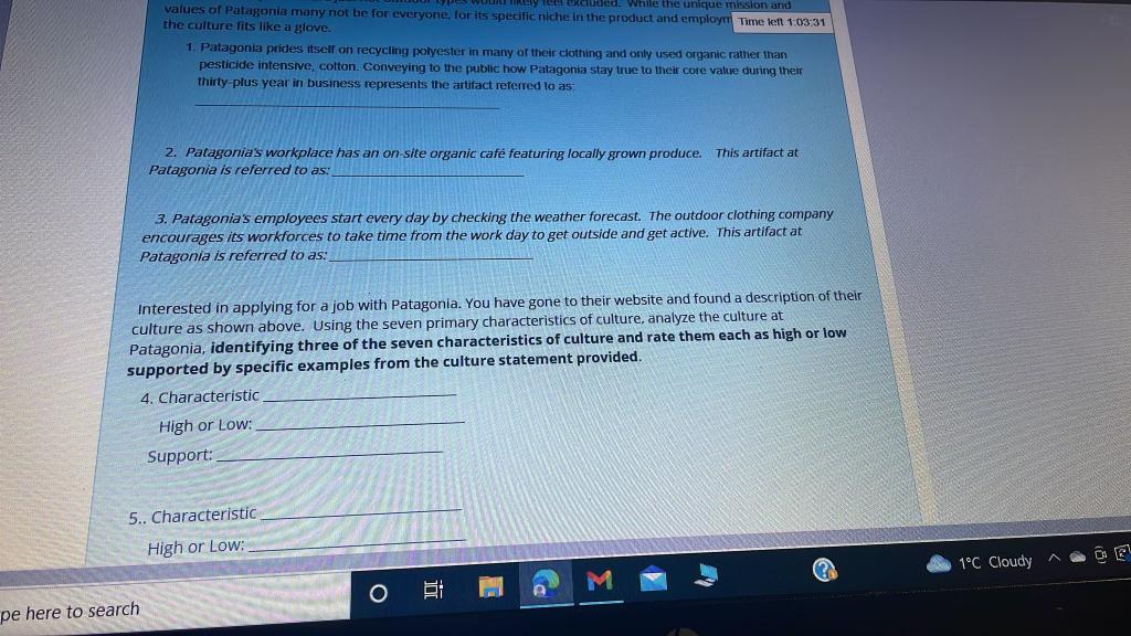 After reading about Patagonia's culture, respond