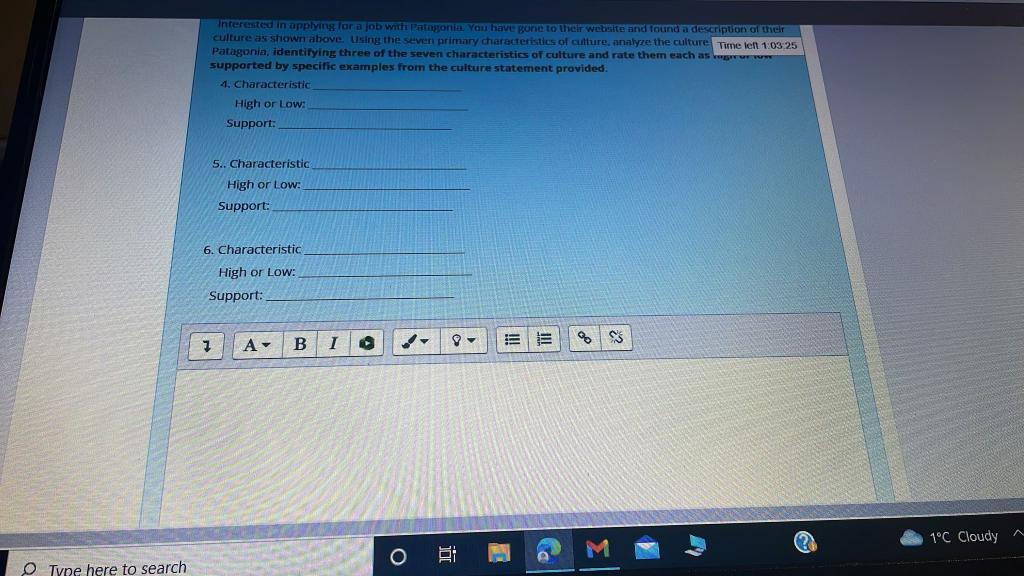 After reading about Patagonia's culture, respond