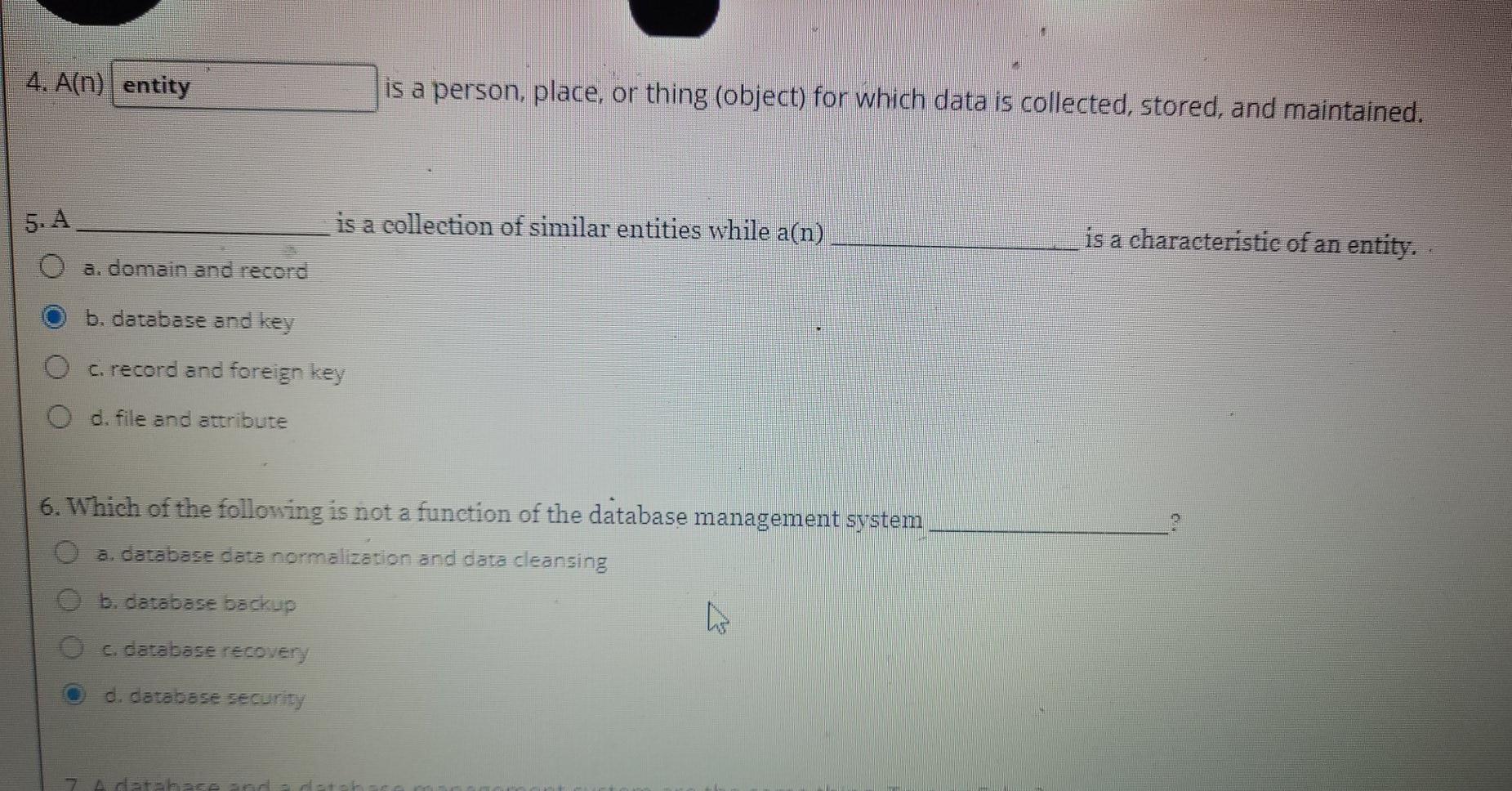 4. A(n) entity is a person, place, or thing