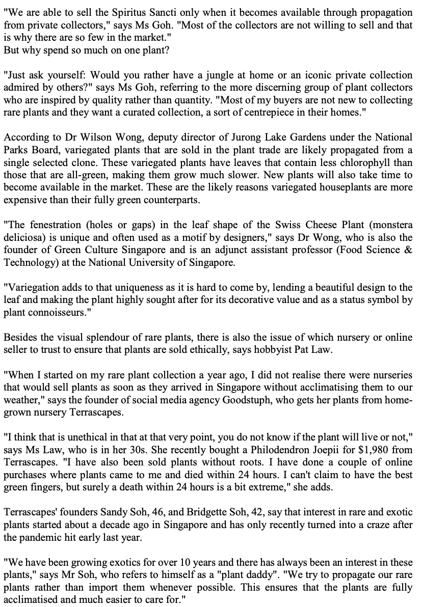 $40,000 for a plant: Lush gardening goes luxe