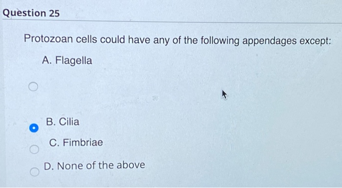 23.the answer is incorrect 25.the answer is