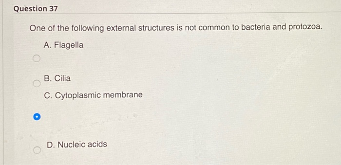 23.the answer is incorrect 25.the answer is