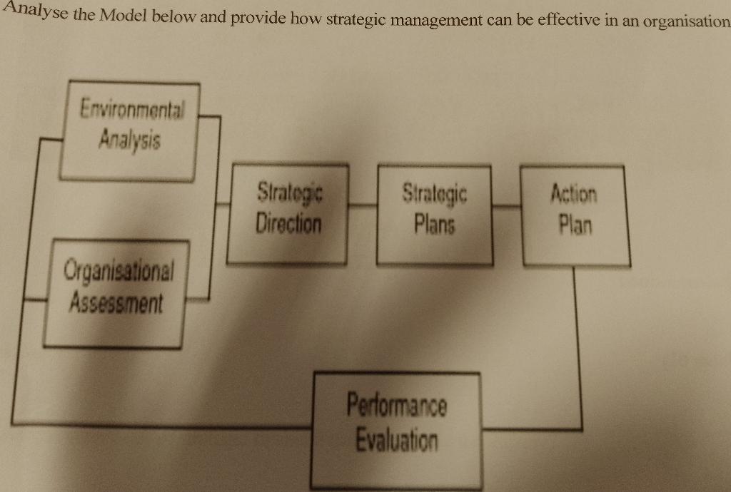 Analyse the Model below and provide how strategic