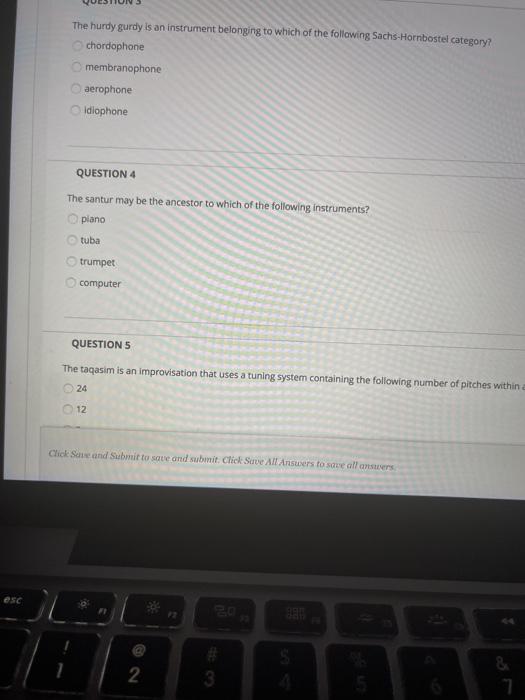 The hurdy gurdy is an instrument belonging to