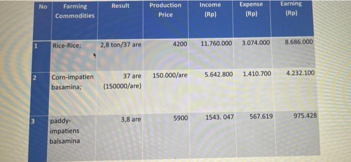 please i need the decision variables and