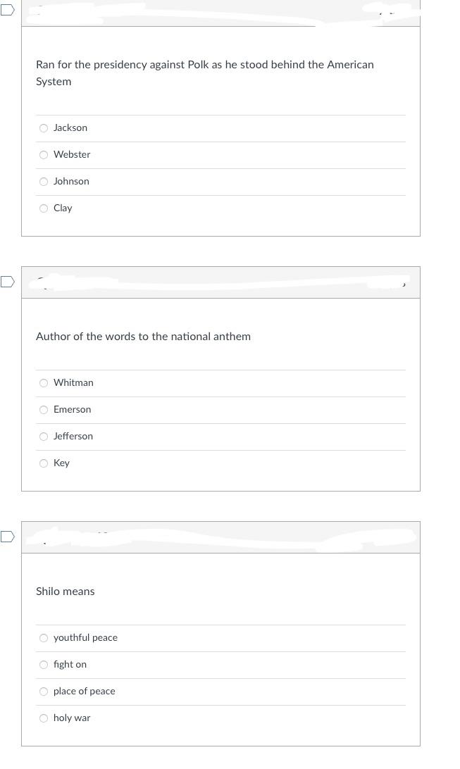Ran for the presidency against Polk as he stood