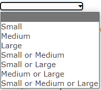 The Lake Placid Town Council decided to build a