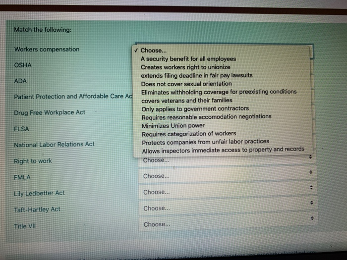 choose an option for each one options are