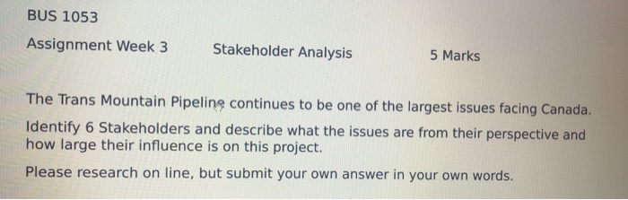 BUS 1053 Assignment Week 3 Stakeholder Analysis 5
