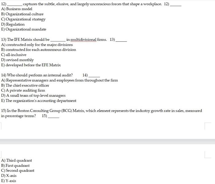 12) _captures the subtle, elusive, and largely