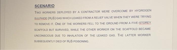 list the losses from this Accident SCENARIO TWO