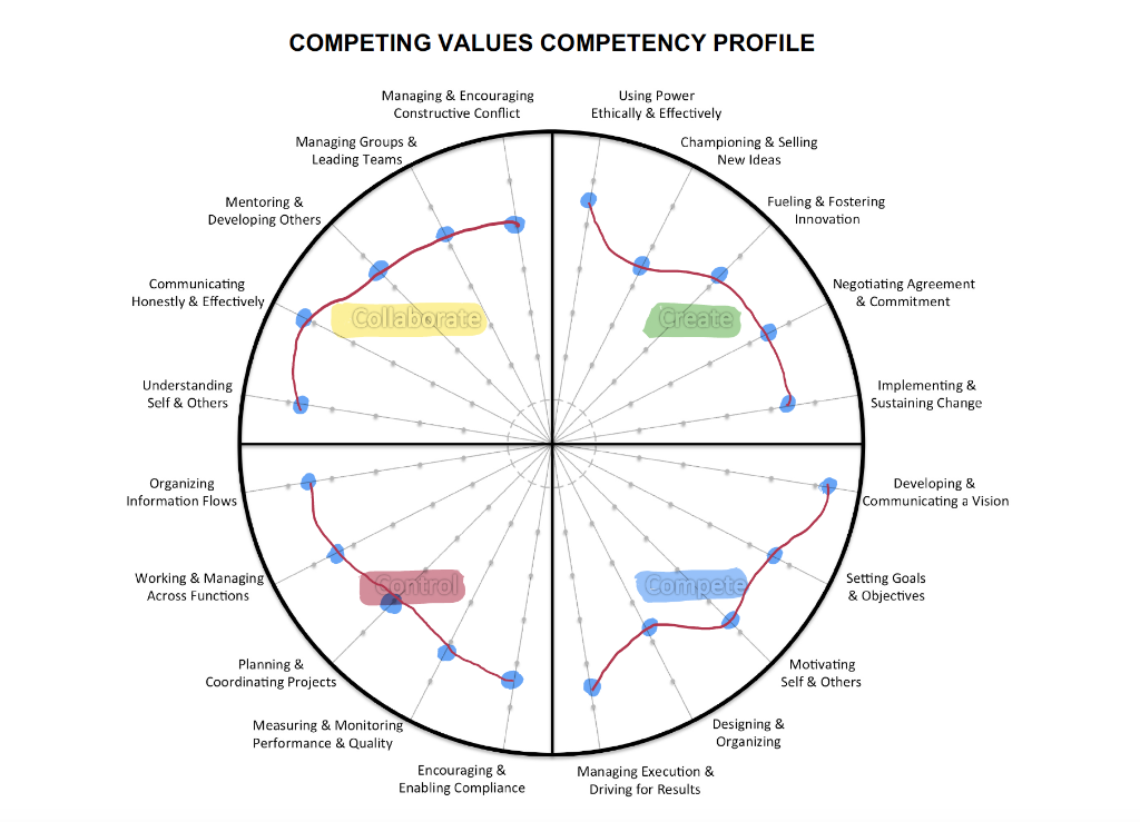Use the completed THE COMPETING VALUES COMPETENCY