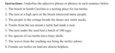 help please.... Instructions: Underline the