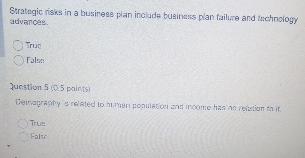 Strategic risks in a business plan include