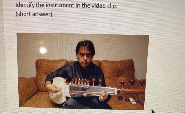 Identify the instrument in the video clip: (short