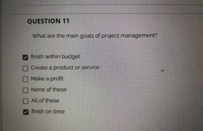 QUESTION 11 What are the main goals of project