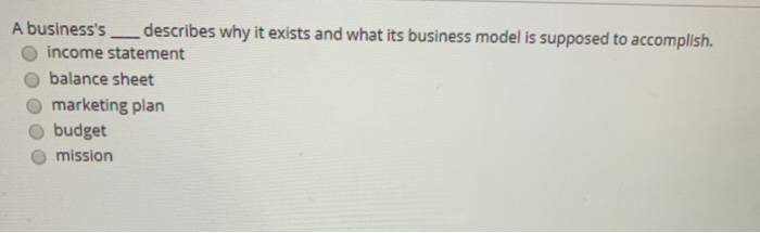 A business's ___describes why it exists and what