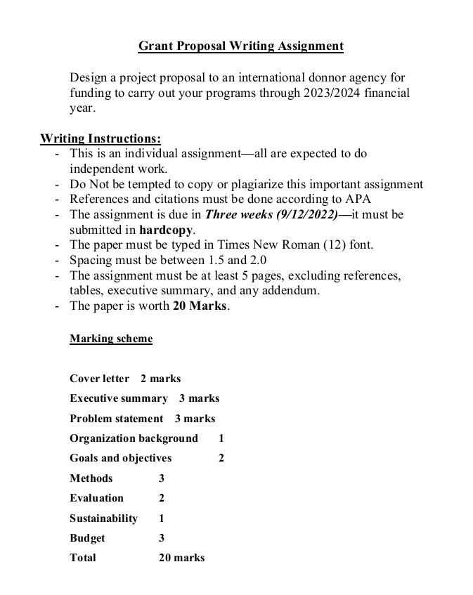 Design a project proposal to an international